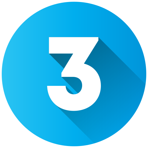 3. Execução Técnica